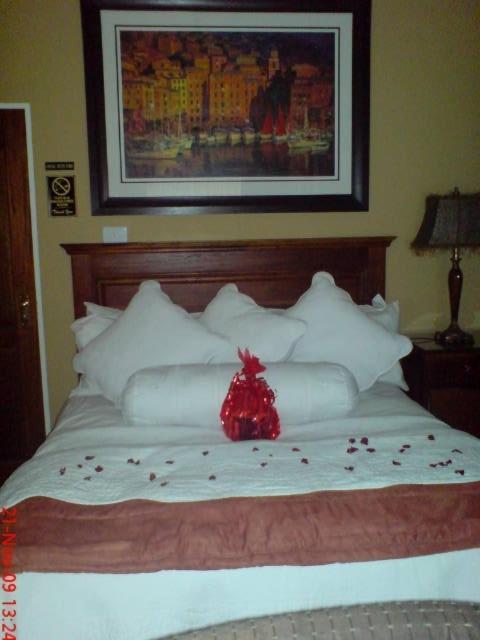 Le Cozmo Guesthouse Johannesburg Pokój zdjęcie
